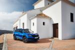 Skoda Kodiaq RS 2019 года (WW)